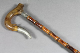 A bamboo cane with horn handle