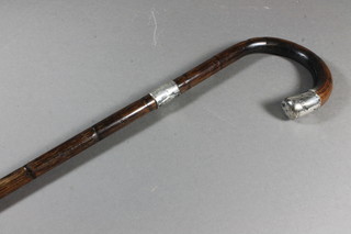 A bamboo walking cane with silver terminal
