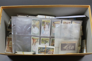 A shoe box containing a collection of cigarette cards