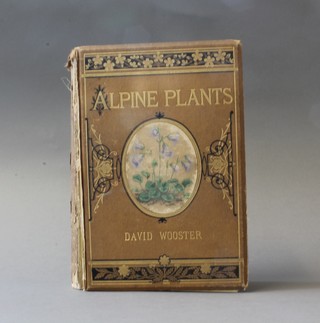 David Wooster, "Alpine plants", 1 volume, published by Bell & Dalby