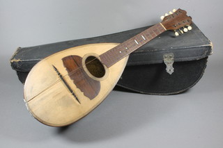 An 8 stringed mandolin marked Mchele Martea Allieveo Vinaccia Napoli 1865, cased