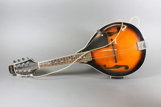 Stagg, an 8 stringed mandolin, model M20, contained in a 2 tone case,