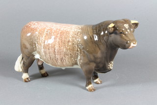 A Beswick figure of a standing  Dairy Short Horn bull, 5.5"