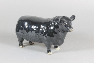 A Beswick standing Aberdeen Angus Bull made for the Angus  Society 5.5"