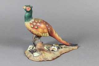 A Royal Crown Derby figure of a pheasant, the base marked  XXXII 7"