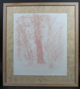 Elisabeth Vellacott, 20th Century British School, red chalk on paper "Twinned Oaks" a wooded landscape, unsigned, 17"h x  14.5"w, bears New Art Centre Sloane Street Gallery label to  verso  ILLUSTRATED