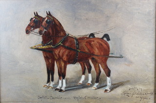 Herbert St John-Jones, early 20th Century British School, oil on canvas, a portrait of the horse Sefton Cavalier, signed and dated  1924, 7.5"h x 11.5"h together with companion piece, a double  portrait of Sefton Courtier and Sefton Cavalier, signed and dated  7.5"h x 11.5"h