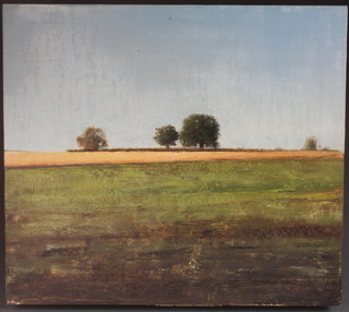 Jeffrey Blondes, 20th Century American School, "La Bruere III",  oil on plywood board, a pastoral landscape with trees in distance,  inscribed to verso, 23.5"h x 26.75"w   ILLUSTRATED