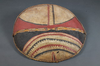 An oval Maasai warrior shield 39"