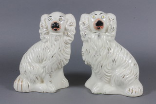 A pair of white glazed Staffordshire pottery figures of Spaniels  7"