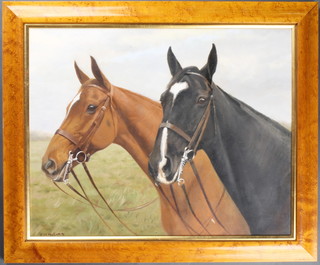 F M Hollams, 20th Century oil on panel, a double portrait of 2 horses 15" x 19", contained in a maple frame