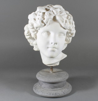 A plaster portrait bust of a classical figure 16" 