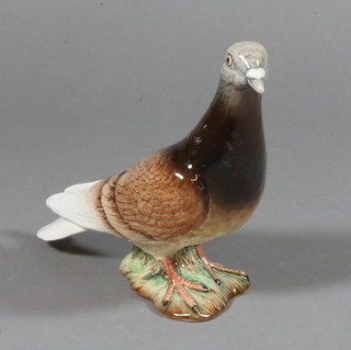 A Beswick figure of a Pigeon 1383 6"