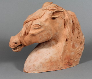 An Earthenware Studio figure of a horse 8"