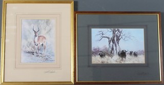 David Shepherd, a coloured print, study of a gazelle, signed in pencil 8" x 6" and 1 other study of buffalo 6" x 9"