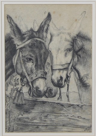 A M Ward, charcoal drawing, 19th Century study of donkeys 12" x 8"  