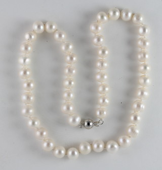 An Akoya cultured pearl necklace 18"