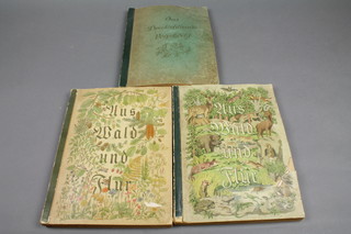 3 German picture book albums of birds, trees and wildlife