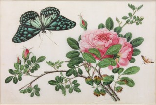 A 19th Century Chinese rice paper painting of insects amongst flowers 7" x 10" 
