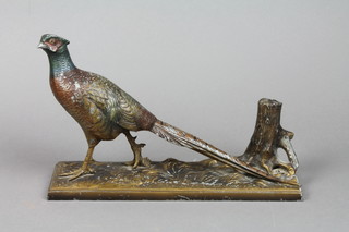 A 1950's spelter table lighter in the form of a walking cock pheasant 7"h x 12"w, striker missing