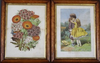 A pair of Victorian framed prints "Sweet William and Marigold" contained in maple frames 10" x 7" 
