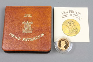 A proof 1981 sovereign