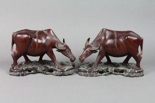 A pair of 19th Century Chinese carved hardwood figures of oxon 5 1/2"  