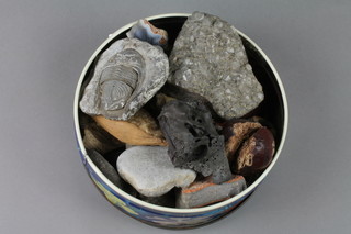 A collection of geological specimens etc including fossils