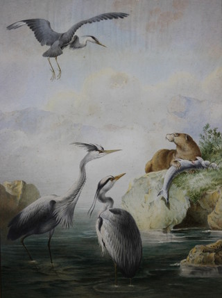 An Edwardian watercolour, study of herons in a stream with an otter and his catch of fish 20" x 16"