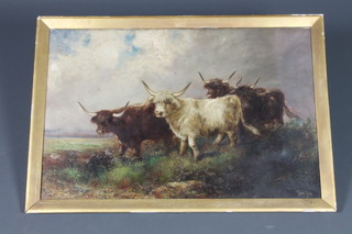 19th Century oil painting, study of highland cattle in an extensive landscape 19 1/2" x 30" 