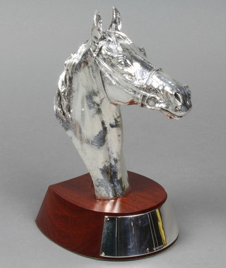A Continental silver filled head of a race horse on a mahogany horse shoe shaped plinth with Continental silver vacant cartouche 9" 