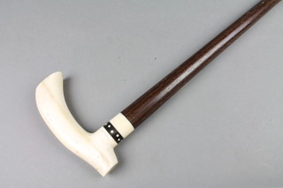 An ivory and hardwood walking cane with ivory tip