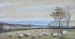 G Herne Russell, watercolour drawing, study of grazing sheep with town and sea in distance 9" x 16"