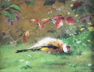 D'Aubejeune oil painting on panel.  A study of a dead bird amongst flowers and foliage, inscribed Mourir, signed 7" x 9" 