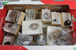 A box containing a collection of various fossils