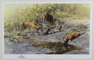 David Shepherd, a limited edition coloured print "The Tigers of Bandhavgarh"  586/1000, signed in pencil 18" x 28" 