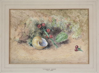 W Hunt, watercolour, a still life study of a snail shell amongst berries, signed and inscribed 5 1/4" x 7 1/4" 