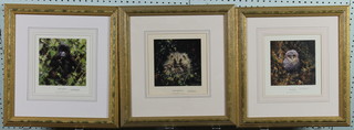 David Shepherd, prints, "Baby Tawny", "Baby Hedgehog" and "Baby Gorilla", signed in pencil 6" x 6"  