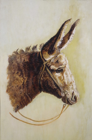 An Edwardian oil painting, study of a donkey, unsigned 17" x 11"