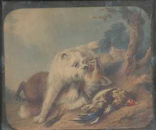 A 19th Century print, a study of a dog fighting a fox, 4 1/2" x 5 1/2" contained in a maple frame, unsigned