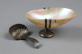 A Georgian silver caddy spoon with shell bowl and bright cut decoration, a silver mounted shell table salt
