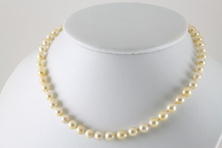 A string of cultured pearls with a 9ct gold clasp 14"
