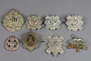 A small collection of mainly WWII cap badges