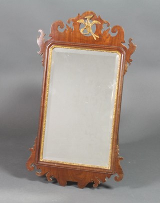 A rectangular Chippendale style bevelled plate wall mirror contained in a mahogany frame surmounted by a figure of a phoenix 30" x 17"