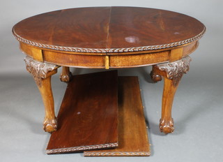 An Edwardian Chippendale style mahogany extending dining table with 2 extra leaves, having a gadrooned border, raised on cabriole ball and claw supports 29"h x 58" when closed, x 94 1/2" when fully extended, x 48"w 