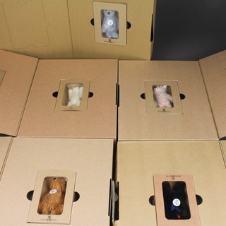 5 Steiff Collector's Club teddybears - 2000 - 2004 4", boxed 
