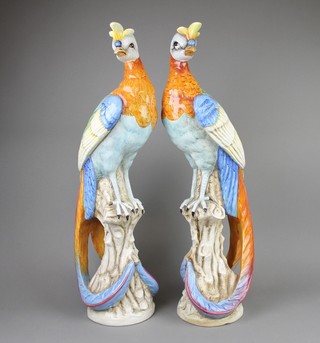 A pair of modern Continental figures of exotic birds on raised rustic bases 18" 