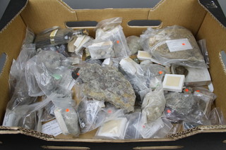 A box of various fossils