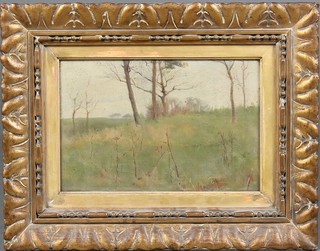 Early 20th Century oil painting, a landscape study of trees, unsigned, 6 1/4" x 9 3/4" 