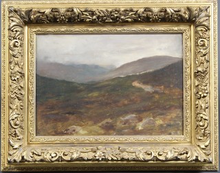 19th Century oil painting.  Atmospheric study of a moorland scene, unsigned 11" x 16" 